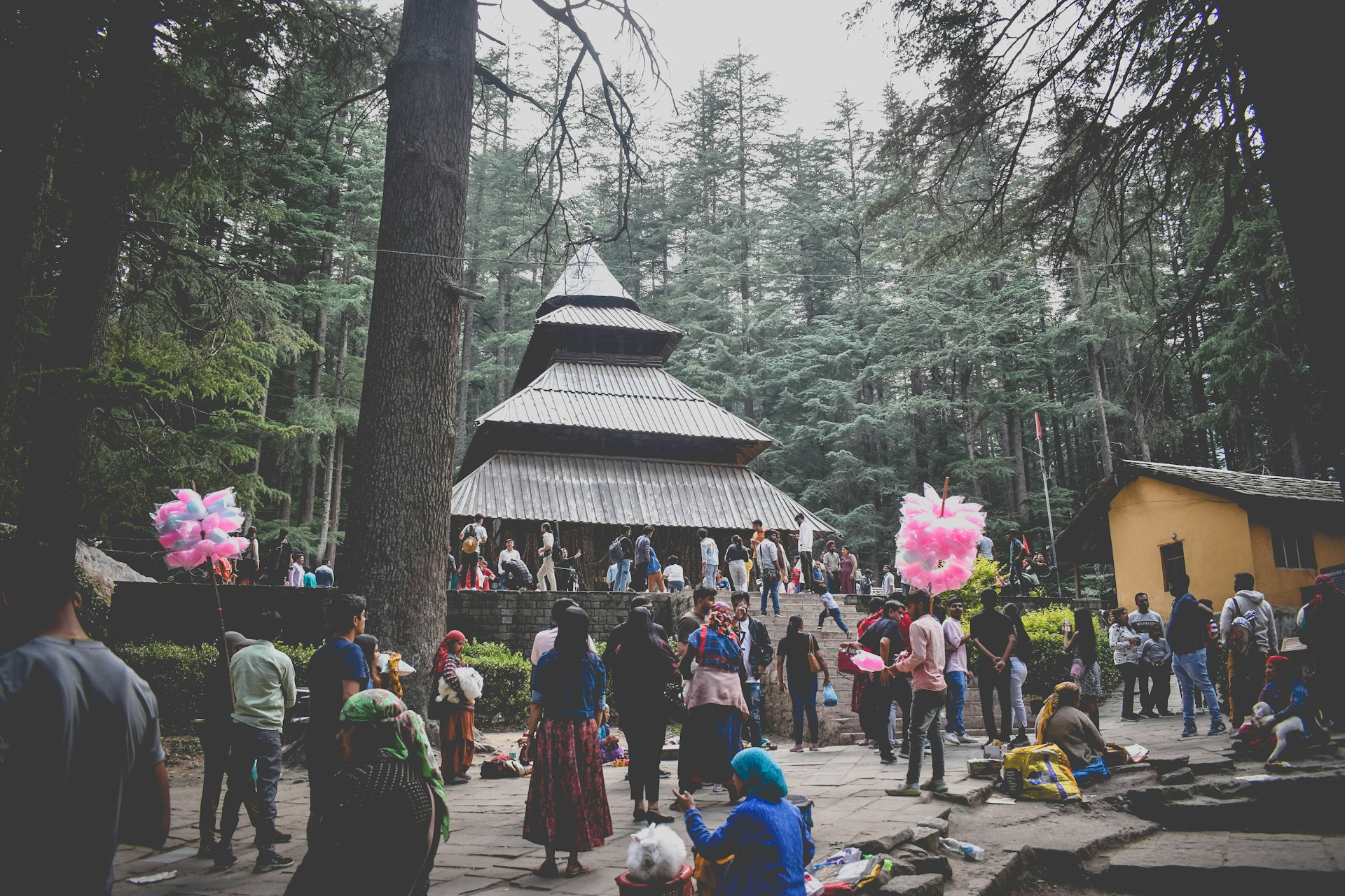 Hadimba Temple Manali – ancient wooden temple surrounded by cedar forest